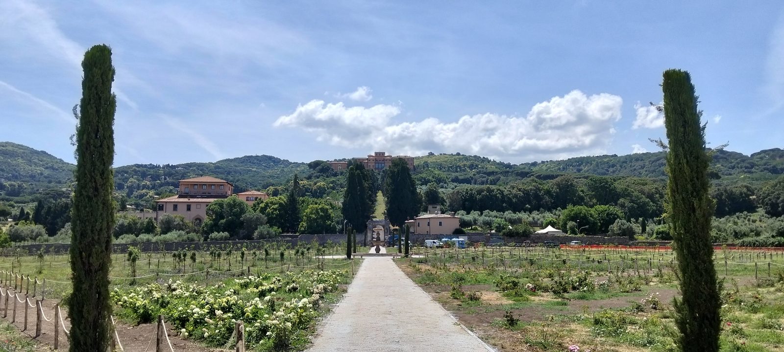 Il Pomario del Papa (5/18)