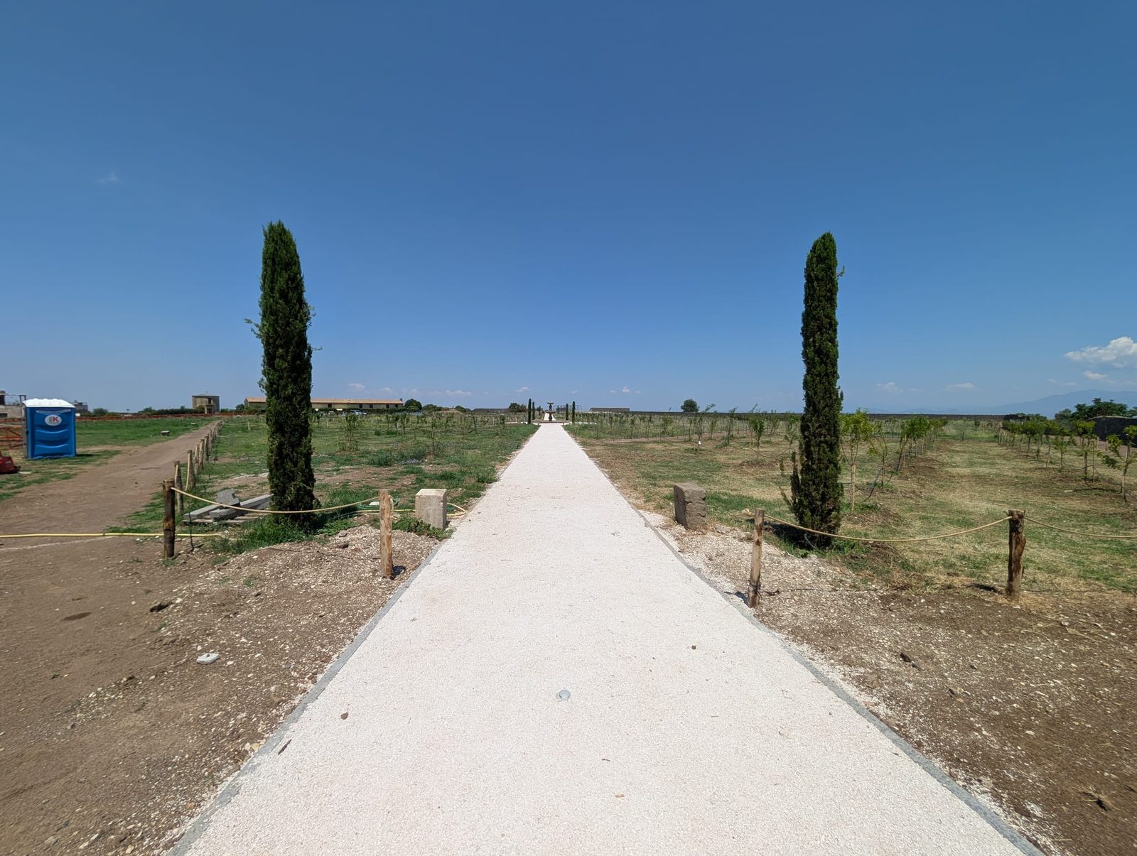 Il Pomario del Papa (13/18)
