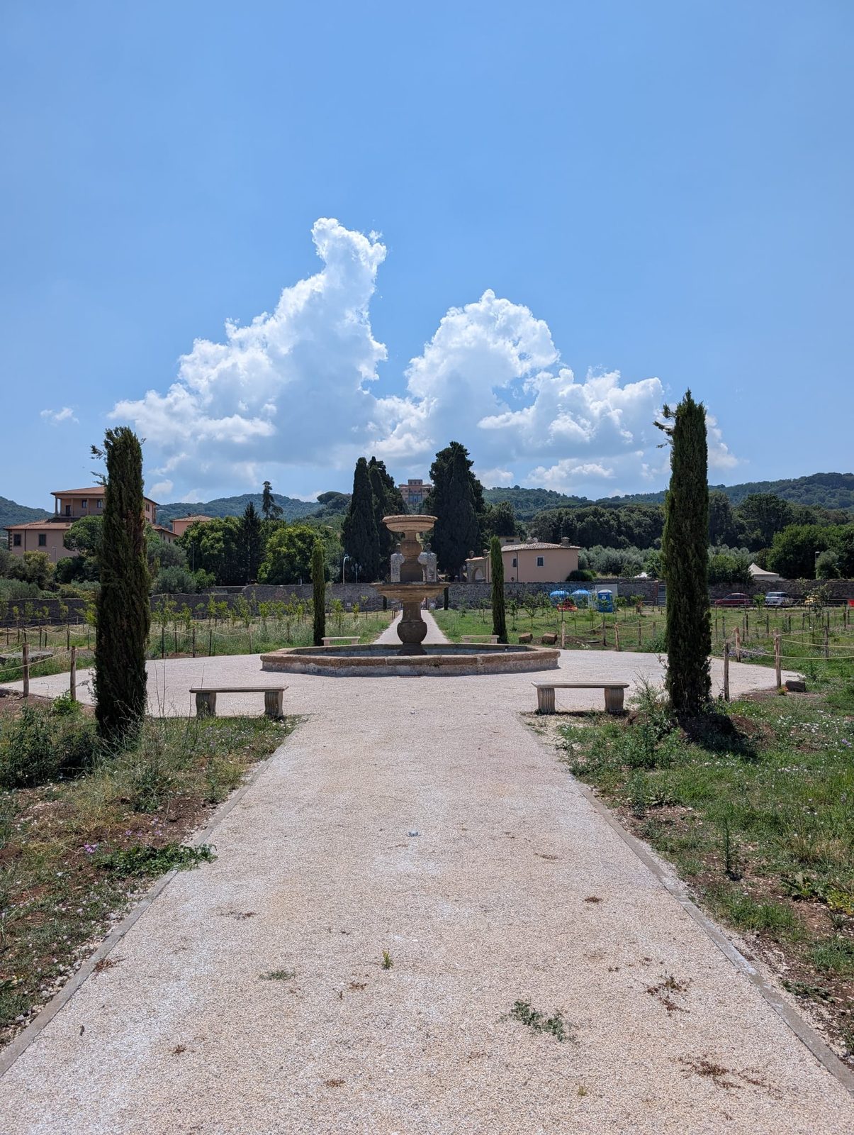 Il Pomario del Papa (15/18)