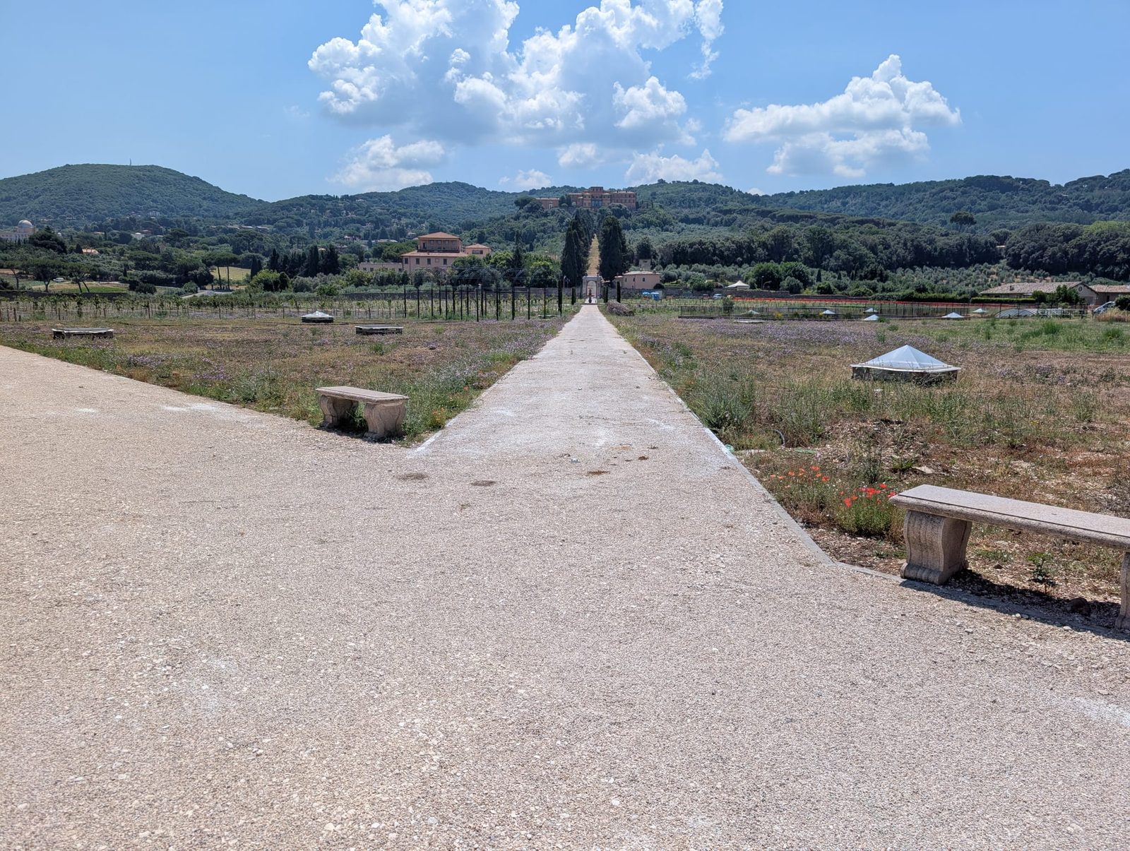 Il Pomario del Papa (16/18)