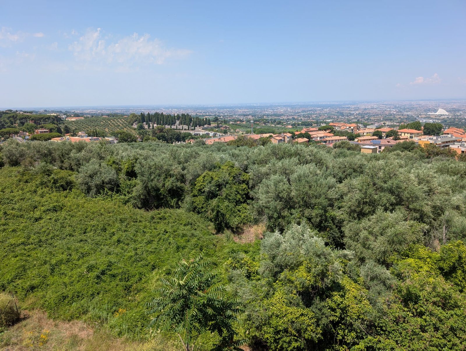 Il Pomario del Papa (17/18)