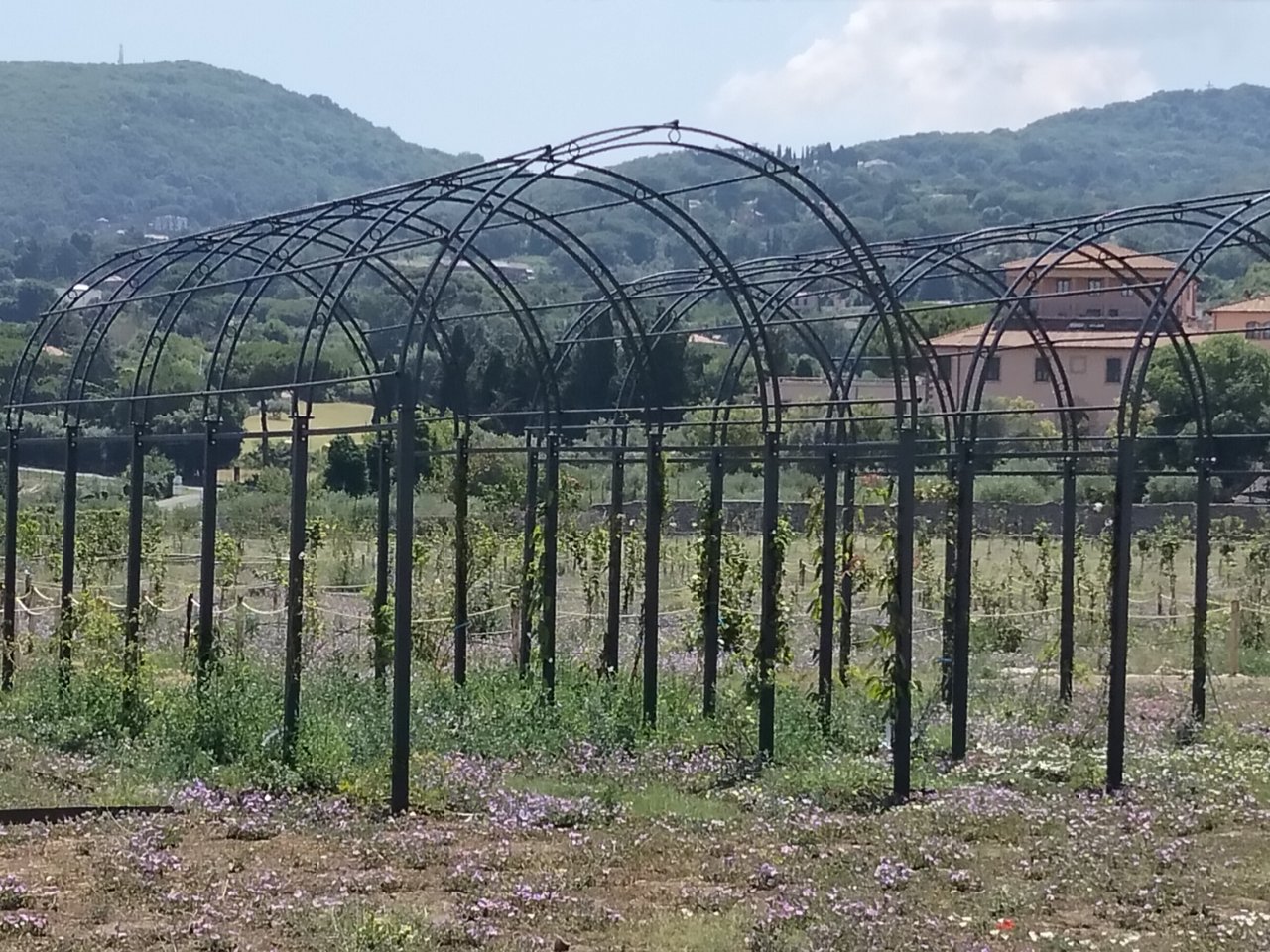 I berceaux e la villa sul colle