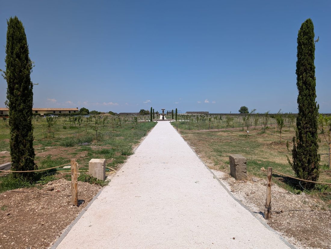Viale e cipressi