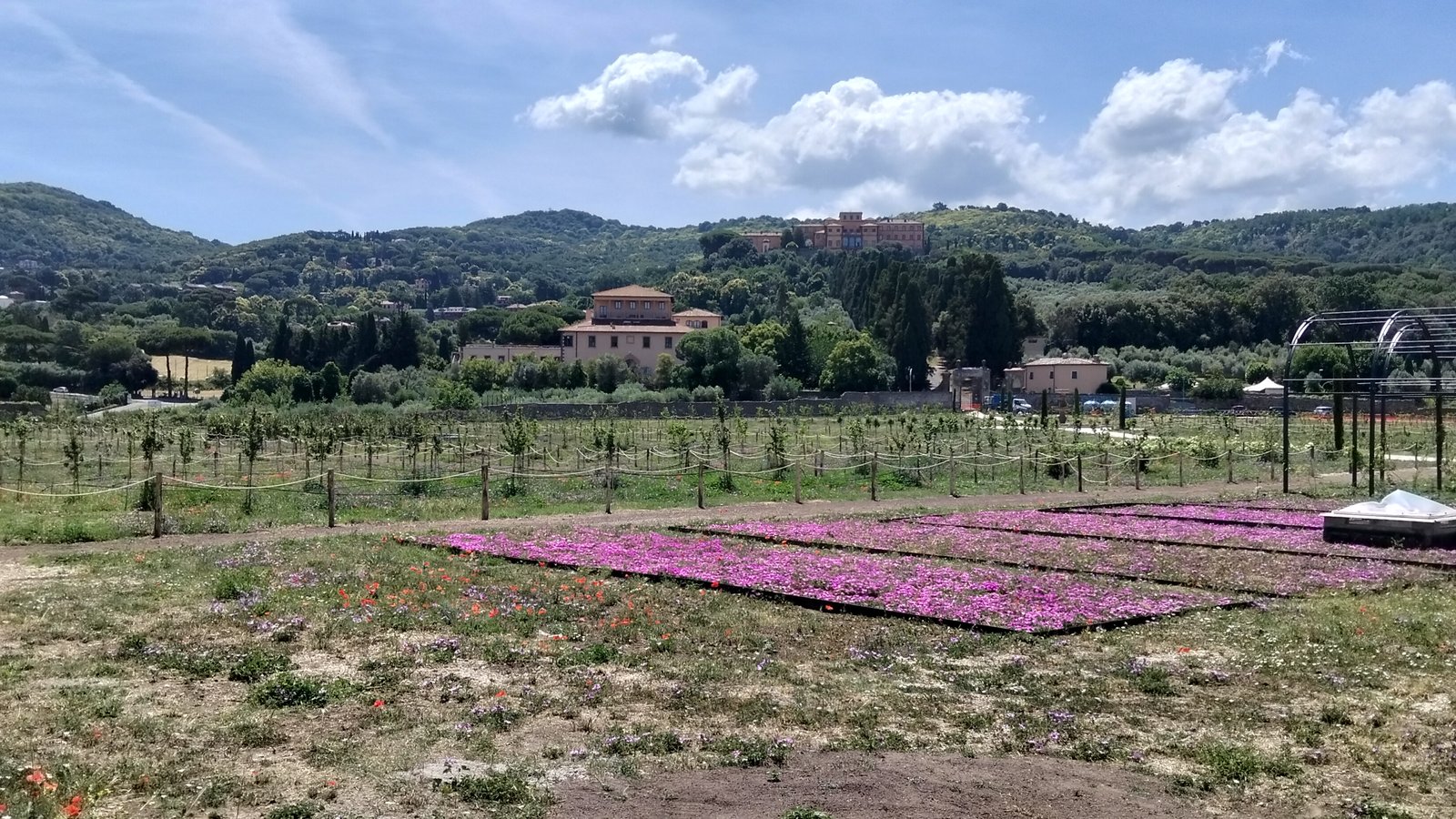 Il disegno a terra sopra le sostruzioni: le aiuole fiorite di Delosperma con i berceaux
